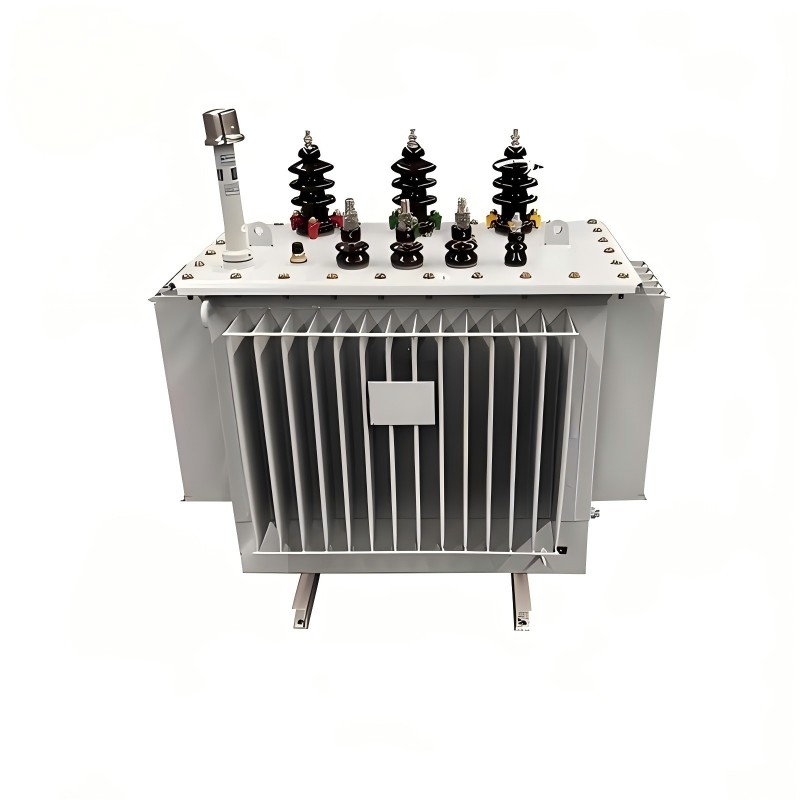 S13-serie 10 kV olie-ondergedompelde stroomtransformator