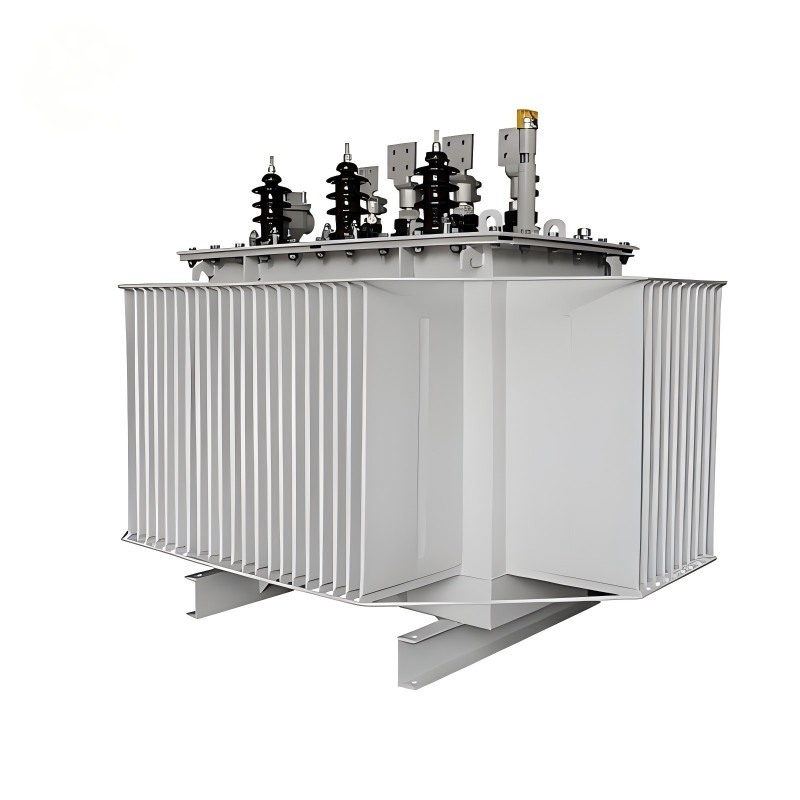 S20-serie hoogefficiënte olie-ondergedompelde stroomtransformator 10 kV S20-serie hoogefficiënte olie-ondergedompelde stroomtransformator 10 kV