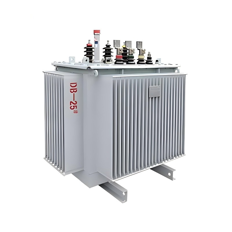 S20-serie hoogefficiënte olie-ondergedompelde stroomtransformator 10 kV